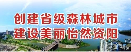 干视频逼创建省级森林城市 建设美丽怡然资阳